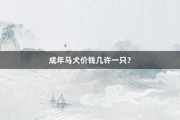 成年马犬价钱几许一只？